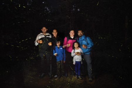 Luz Viva: Tour de Luciérnagas entre Zacatlán y Chignahuapan